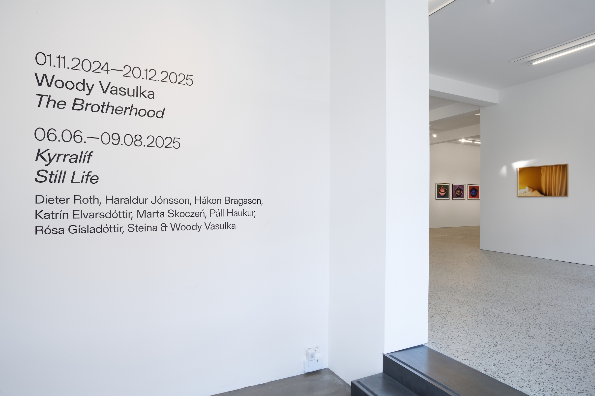 Marta Skoczeń Skoczen group show Reykjavik Berg Contemporary